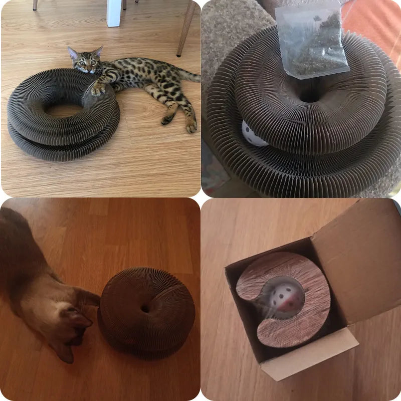 Rascador de gatos mágicos