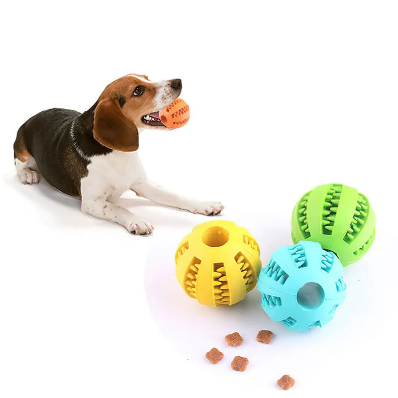 Pelota para perros