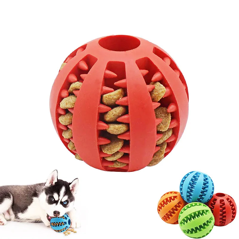 Pelota para perros